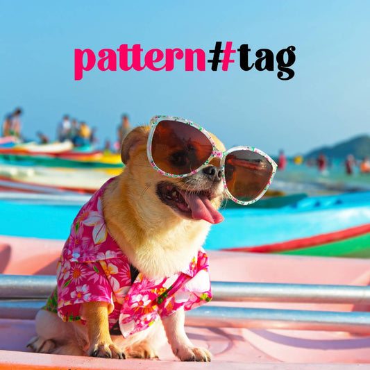 Tessuti di Alta Qualità per Chihuahua e Cani di Piccola Taglia: Comfort e Stile