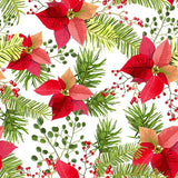Pattern design Stella di Natale elegante
