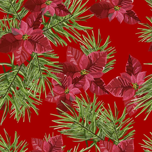 Pattern design Stella di Natale elegante