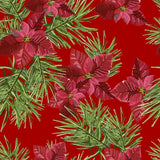 Pattern design Stella di Natale elegante