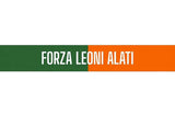 Sciarpa Venezia in Poliestere di Raso