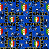 Tessuto al metro Inter 21° Scudetto 2026