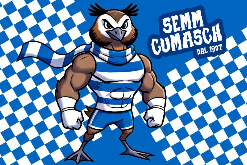 Bandiera Como calcio
serie a champions league