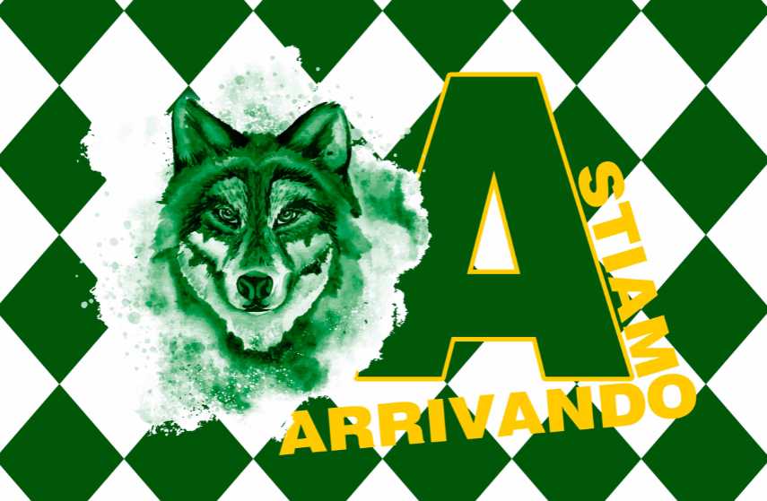 bandiera us avellino calcio promozione serie b