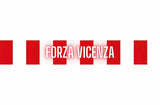 Sciarpa Vicenza in Poliestere di Raso