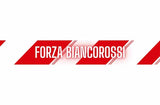 Sciarpa Vicenza in Poliestere di Raso