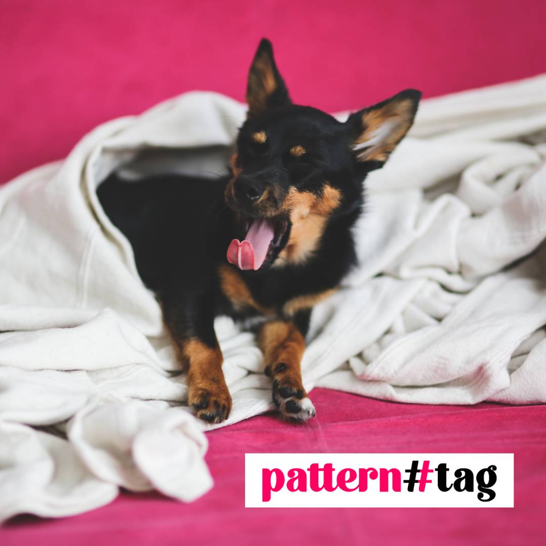 Tessuti per Cani Personalizzati: Scegli i Migliori Materiali per Comfort e Stile