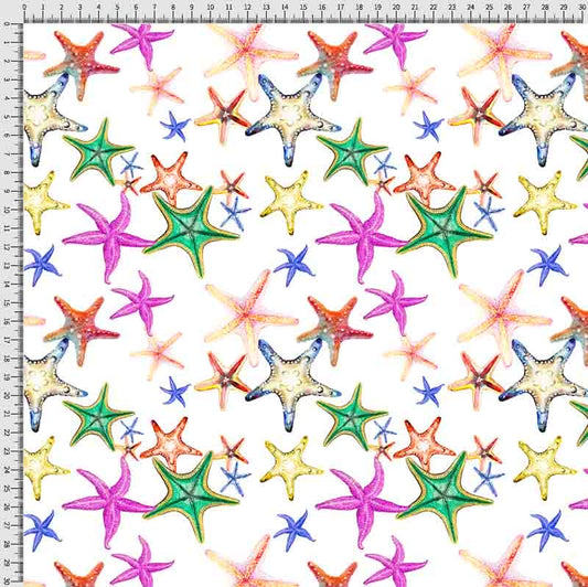 Pattern Estate stelle marine arcobaleno