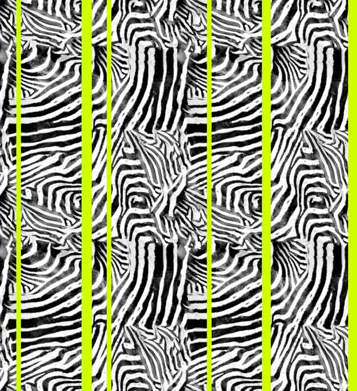 Pattern Estate Zebra elettrico Neon