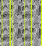 Pattern Estate Zebra elettrico Neon