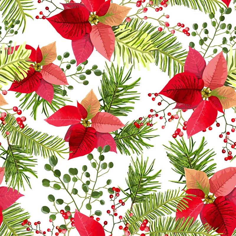 Pattern design Stella di Natale elegante