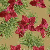 Pattern design Stella di Natale elegante