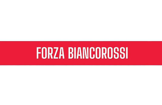 Sciarpa Monza in Poliestere di Raso