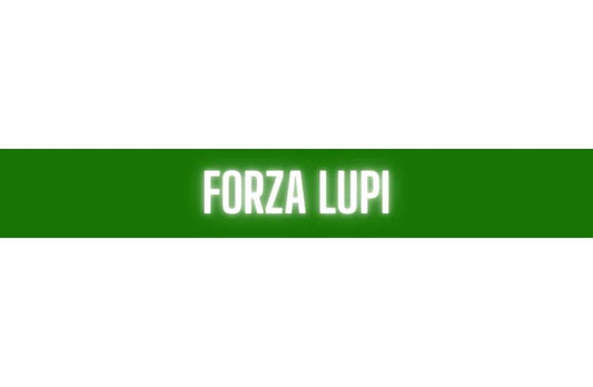 Sciarpa Avellino in Poliestere di Raso