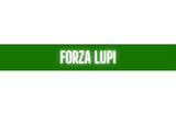 Sciarpa Avellino in Poliestere di Raso