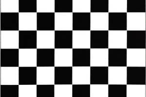 Bandiera a scacchi per gara