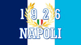 Telo Palestra Spugna Napoli 70x140