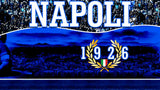 Telo Palestra Spugna Napoli 70x140