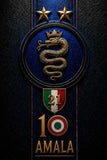 Telo da Mare Spugna Scudetto Inter 100x160