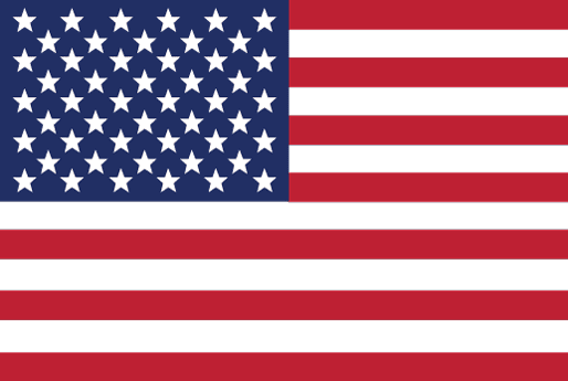 Bandiera Stati Uniti d'America USA