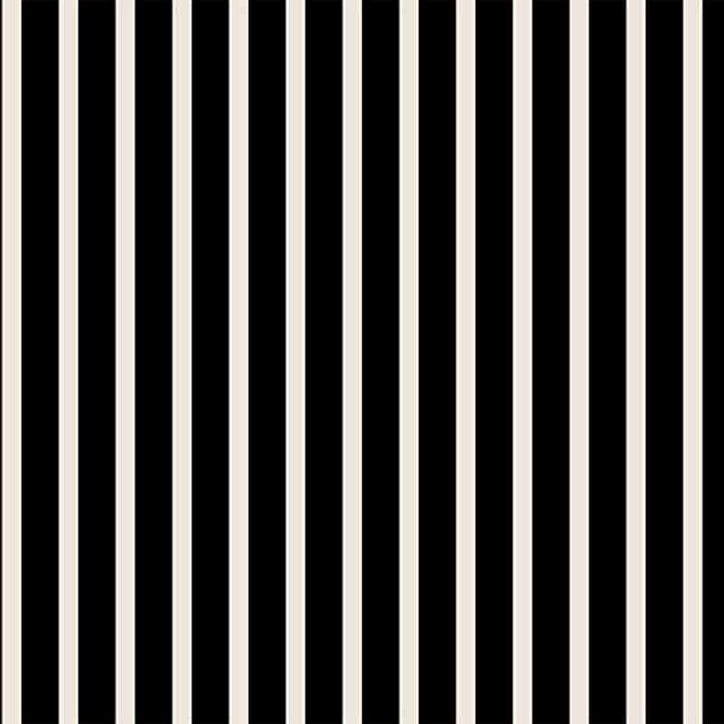 Stampa del Surface Pattern design stripes black and white