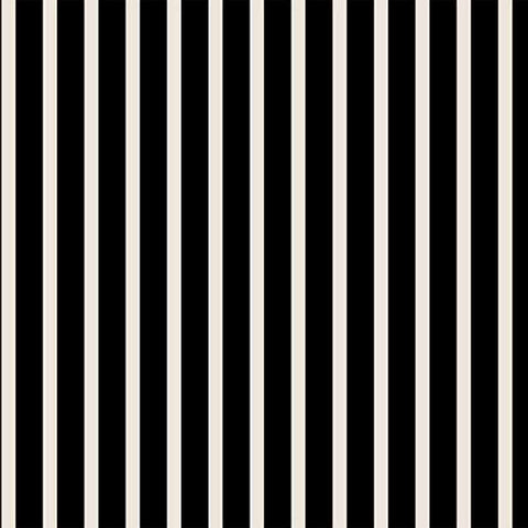 Surface Pattern design stripes black and white